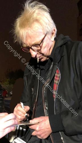 rat scabies